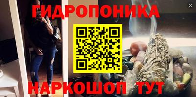 дмт Шелехов