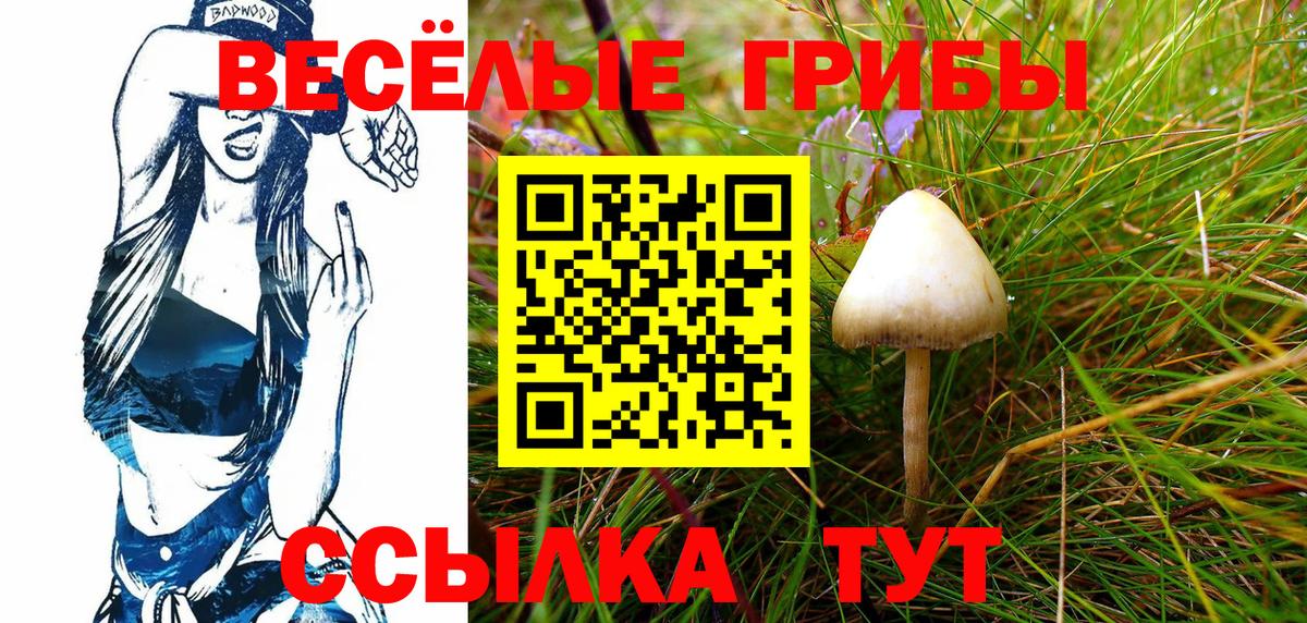 Галлюциногенные грибы GOLDEN TEACHER Краснодар
